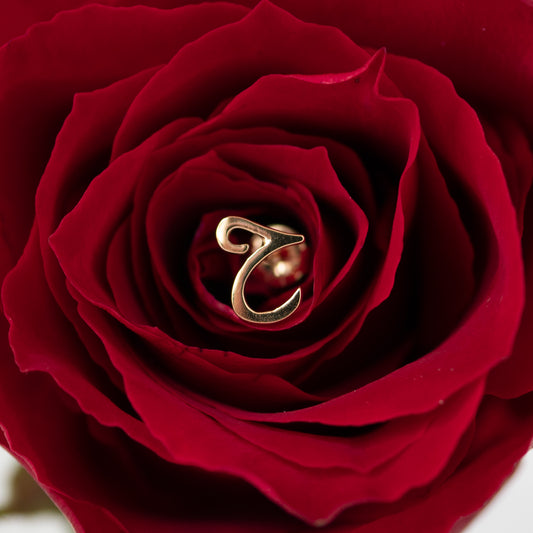 【H】イニシャルピアス