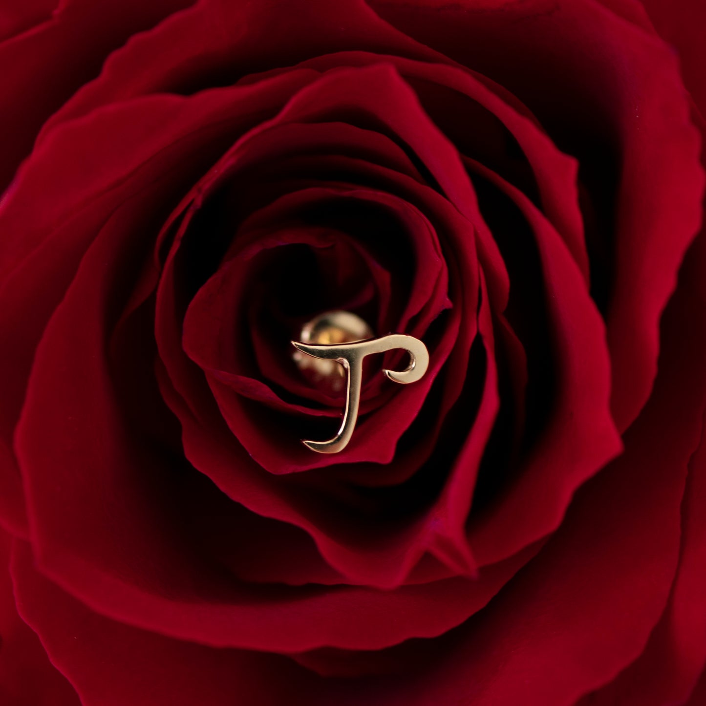 【A】イニシャルピアス