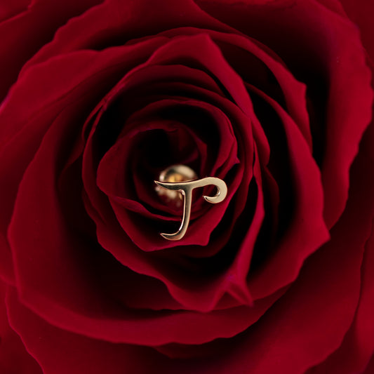 【A】イニシャルピアス